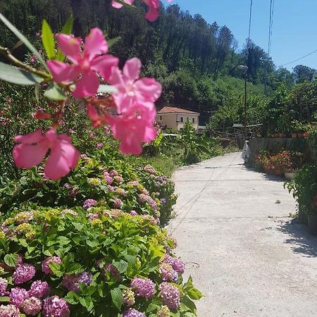 Casa Nonna Anna Villa Maiori Buitenkant foto